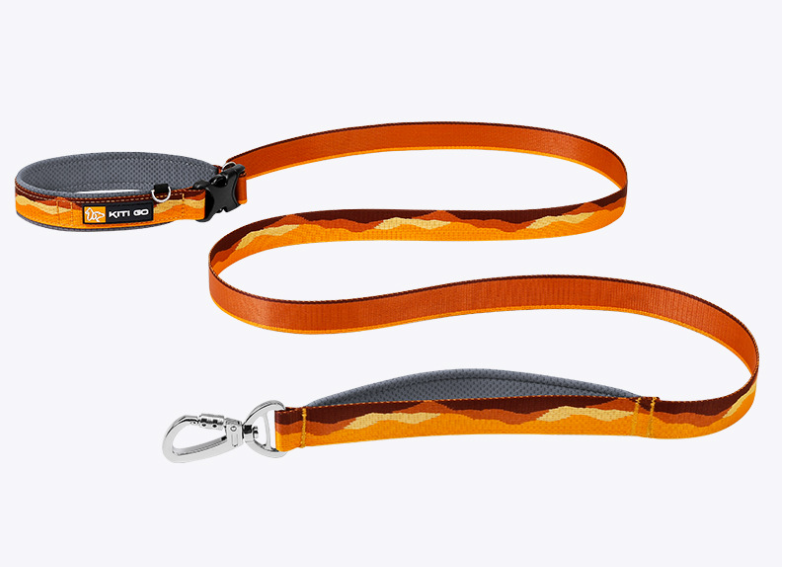 Dual-Handle Traffic Leash