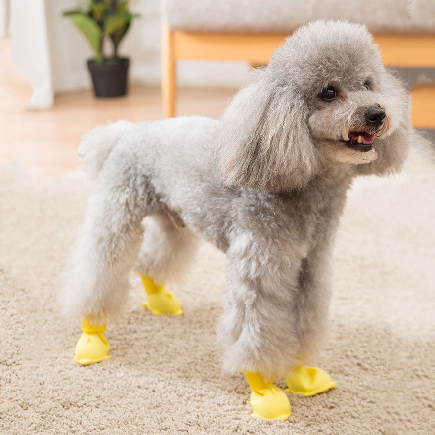 Silicone Dog Boots – Waterproof Paw Covers (Set of 4)